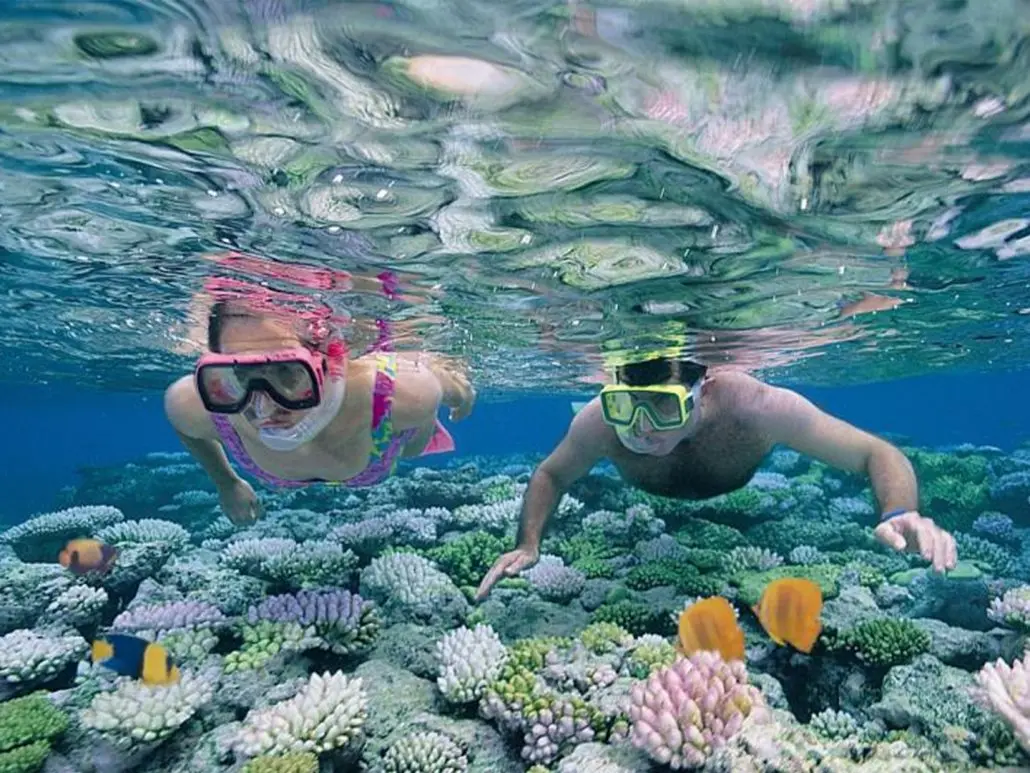 Mnemba Snorkeling + Nungwi Sea Turtles & Kendwa Beach