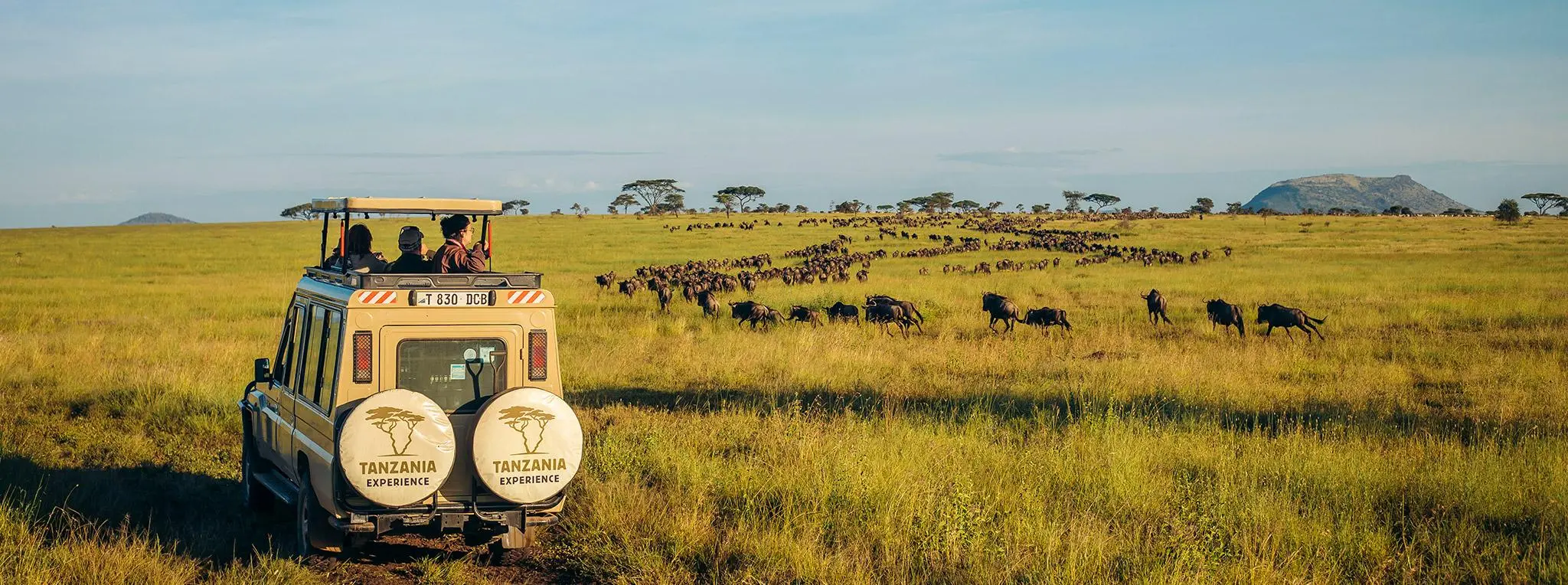 Serengeti plains wildlife safari